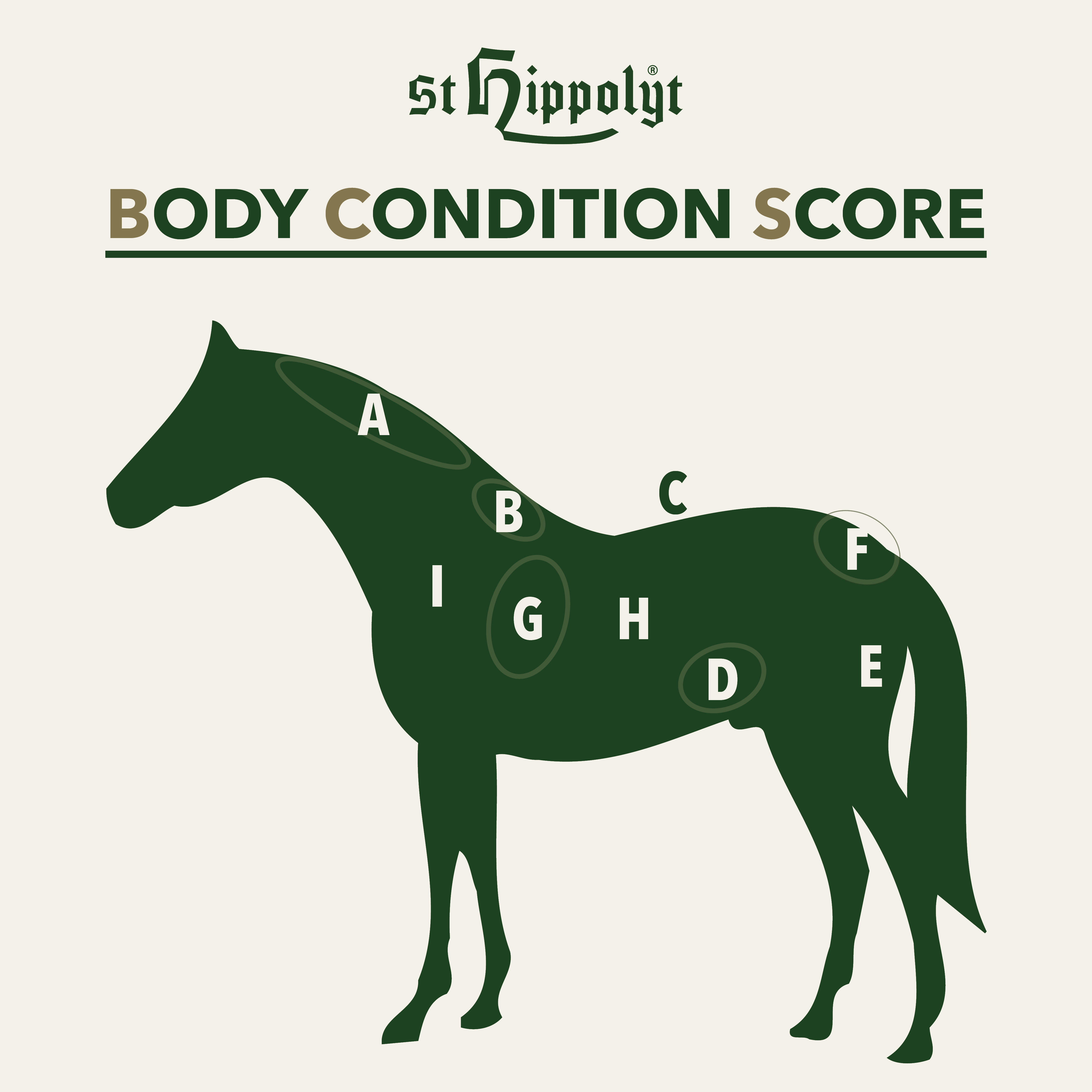 St. Hippoly Body Condition Score