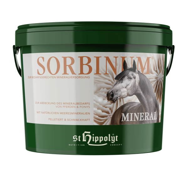 Sorbinum-Mineral-Eimer_1T8SWEwXAvrInm